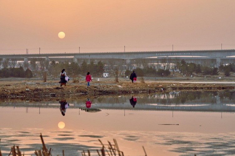 七大公园，北京可带宠物，带狗散步，夏日避暑两不误